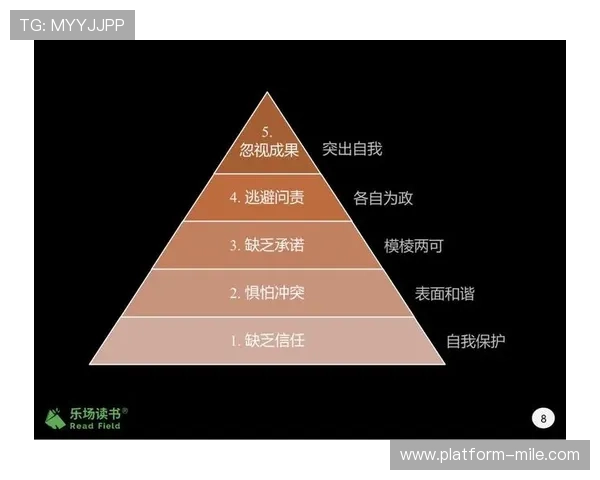 杭州足球队在世界杯中的团队协作表现分析与评价